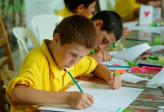 В Азербайджане будут организованы бесплатные летние школы на добровольной основе