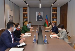 Azerbaijan, WHO exchange views on potential spheres of co-op (PHOTO)