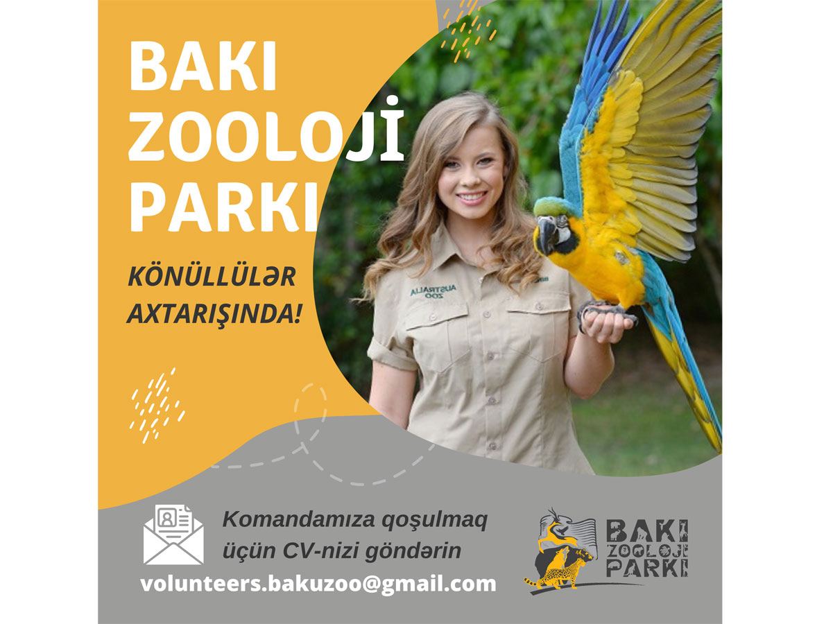 Bakı Zooloji Parkı heyvanları sevən könüllü gənclər axtarır