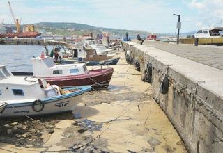 Belediyeler atık suyu daha iyi arıtmalı: Marmara Denizi’ni nefessiz bırakan deniz salyaları endişeye yol açtı