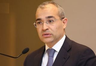 Azerbaijan speeds up growth rates of manufacturing many products - minister