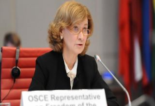 Azerbaijan should ensure transparency and trust towards media in fight against disinformation - OSCE representative