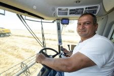 В Азербайджане внедрена система очередности на участках, где будет производиться сбор урожая зерновых (ФОТО)