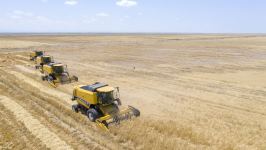 В Азербайджане внедрена система очередности на участках, где будет производиться сбор урожая зерновых (ФОТО)