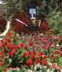 Молодежь и представители спортивной общественности Азербайджана посетили могилу Азада Рагимова (ФОТО)