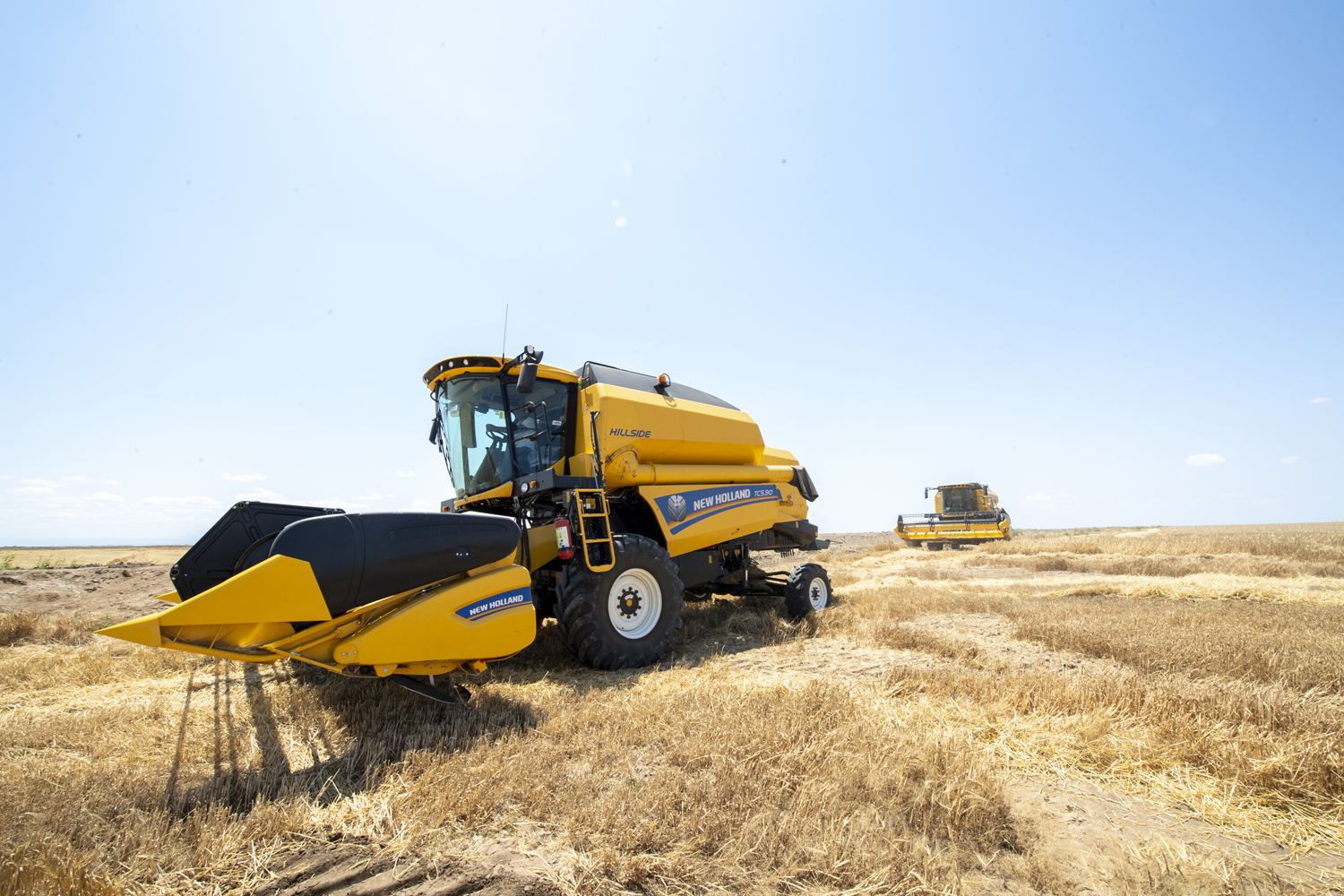В Казахстане вводится запрет на вывоз зернофуража