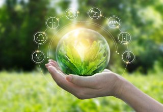 Uzbekistan, Global Green Growth Institute consider introduction of ‘green’ economy technologies