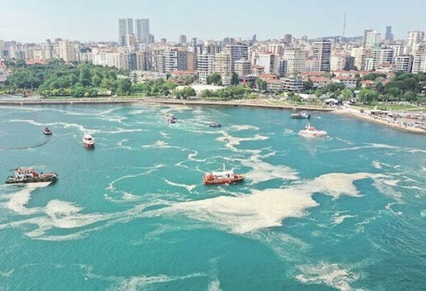 Marmara koruma alanı ilan edilecek: 15 bölgede birden temizlik başladı