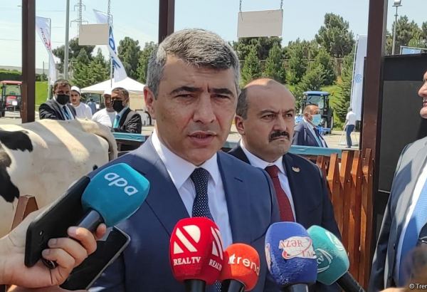 All agricultural fairs in Azerbaijan to reconvene - minister