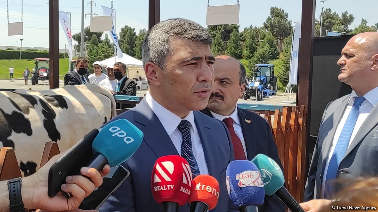 Азербайджан и Турция расширят сотрудничество в аграрной сфере – министр (ВИДЕО)