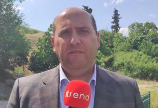 New economy building must be ensured in Azerbaijan's Karabakh - president's special representative