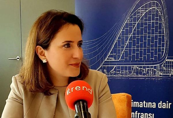 AmCham заинтересована в участии в процессе восстановления Карабаха - вице-президент
