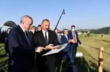 Karabakh horse Zafar, Kharibulbul composition presented to Turkish president (PHOTO)