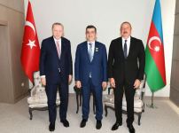 Presidents of Azerbaijan, Turkey hold one-on-one meeting (PHOTO)