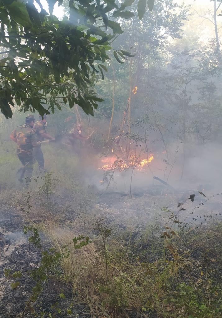 Şimal bölgəsində yanğının söndürülməsinə 270 canlı qüvvə və helikopter cəlb edildi (FOTO/VİDEO)