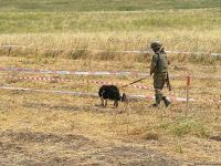 Свыше 7 тыс. гектаров освобожденных территорий Азербайджана очищено от мин (ФОТО)