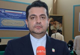 Iranian citizens showing interest in participating in elections – Iranian ambassador (PHOTO)