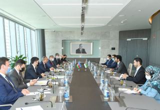 Economic co-op between Azerbaijan, UAE expanding - ministry (PHOTO)