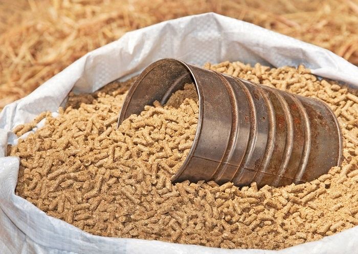 Compound feed factory put into operation in Kazakhstan’s Zhambyl