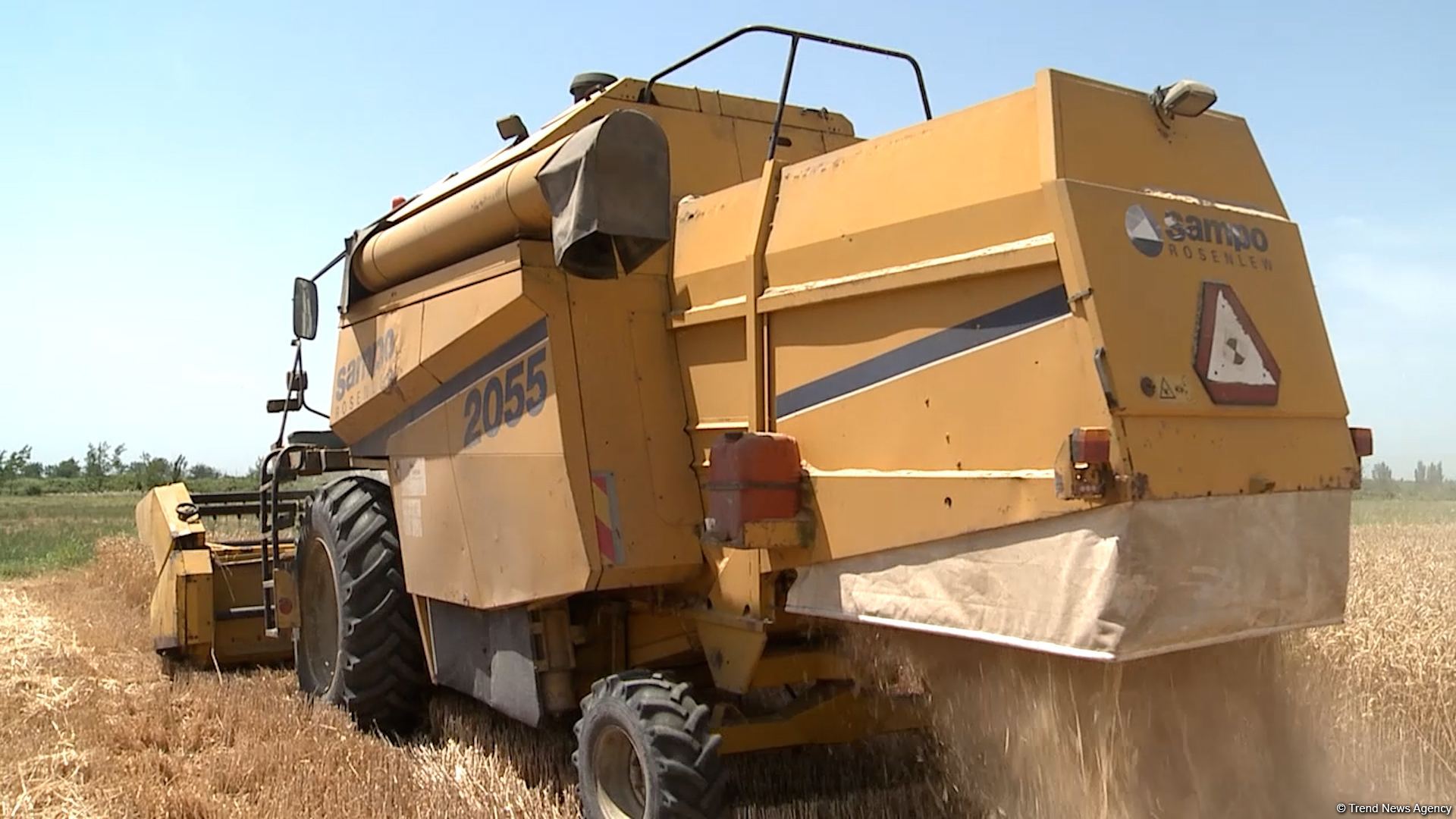 Карабахские фермеры соберут рекордный урожай зерна - Trend TV (ФОТО/ВИДЕО)
