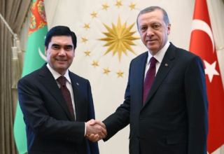 Президенты Турции и Туркменистана обсудили перспективы развития двусторонних отношений