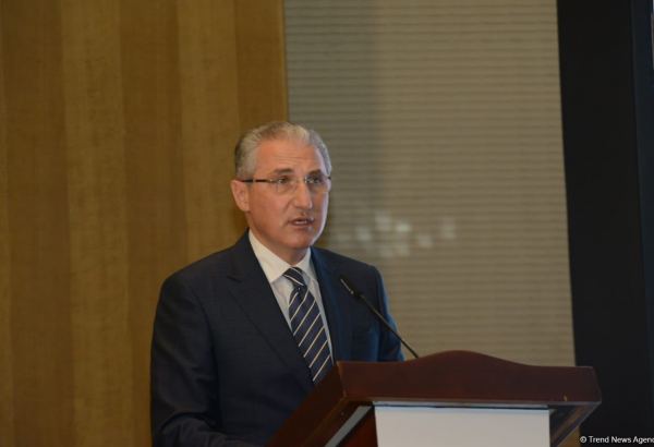 Azerbaijan leads in region in number of implemented twinning projects - minister