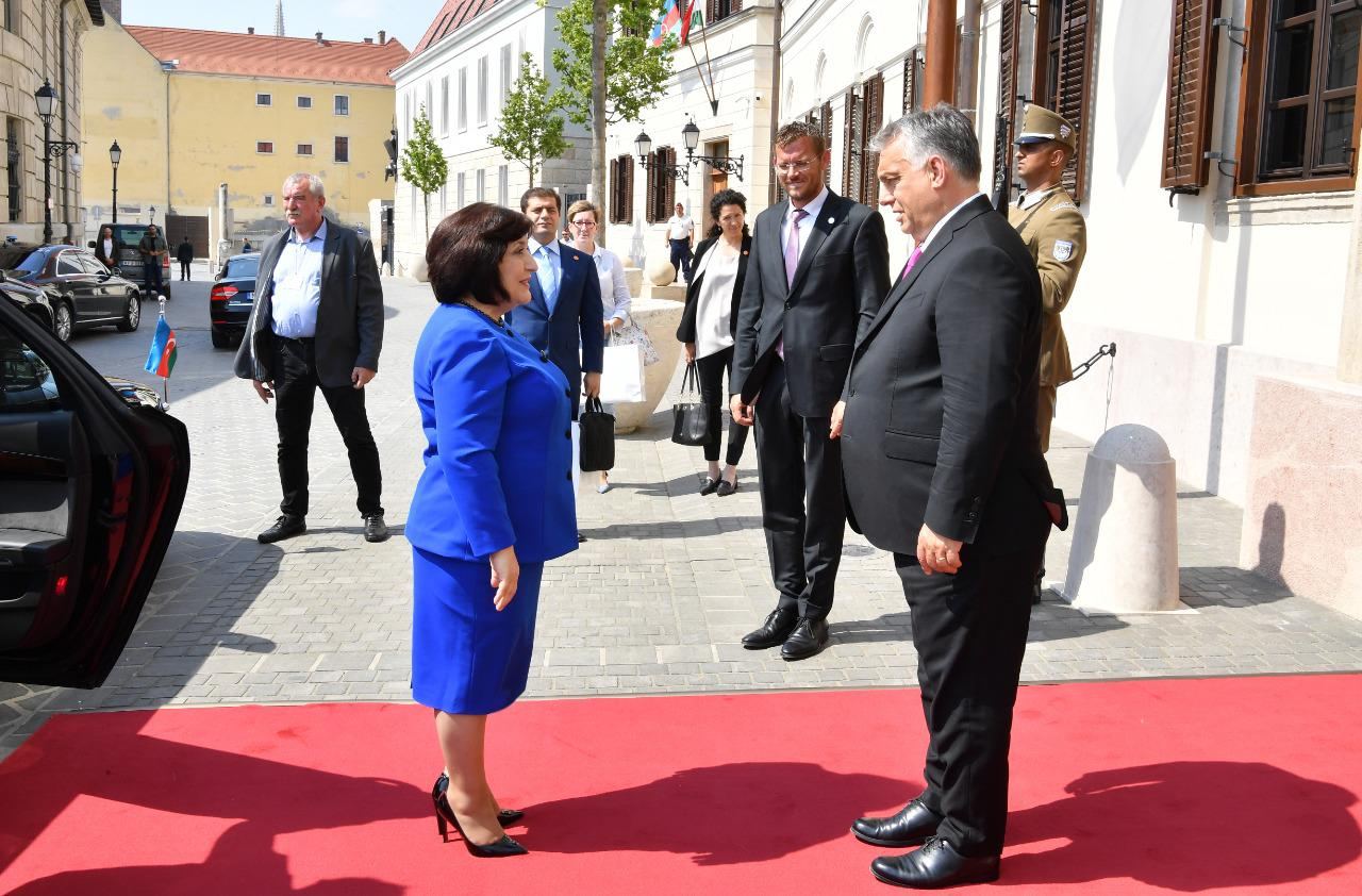 Speaker of Azerbaijani Parliament expresses gratitude to Hungary for assistance in demining liberated lands (PHOTO)