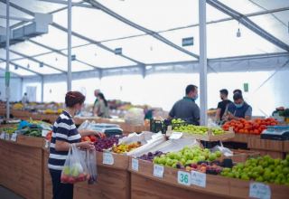Azerbaijan to take action on more efficient organization of agricultural fairs