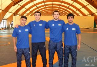 Azerbaijani wrestlers reach quarterfinals of European Championship in Dortmund