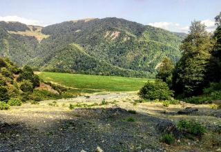 Azerbaijani ministry comments on allegations about destruction of Galajig forest in Gusar district (Exclusive)