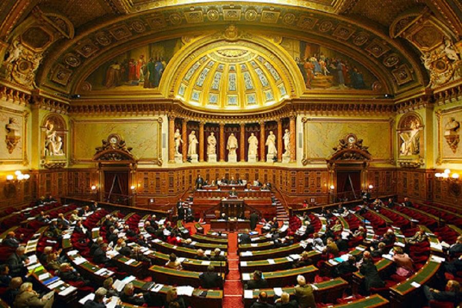 Сенат Франции изменил и одобрил законопроект о борьбе с коронавирусом