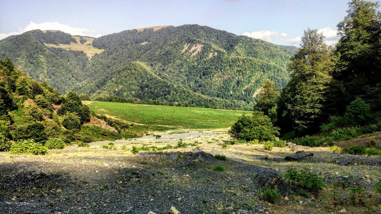 Минэкологии Азербайджана прокомментировало утверждения об уничтожении Галаджигского леса в Гусаре (Эксклюзив)