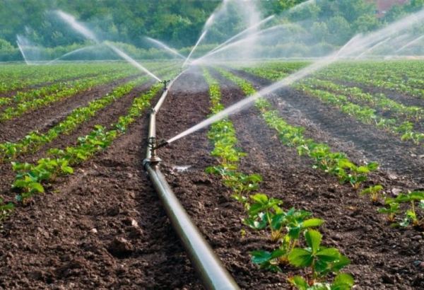 Tajikistan discloses area of irrigated lands in Rudaki district