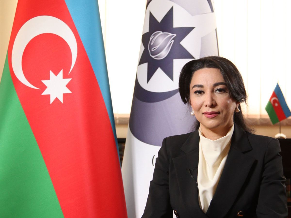 Два года назад начался очень важный этап в современной истории Азербайджана - Сабина Алиева
