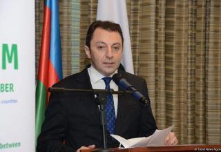 'Smart village' in Azerbaijan's Zangilan to be ready in early 2022 - deputy FM