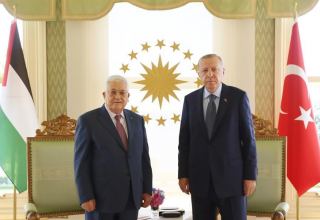 Эрдоган провел телефонный разговор с президентом Палестины