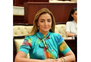 Страны-сопредседатели больше заинтересованы в сохранении статус-кво, чем в разрешении конфликта – азербайджанский депутат