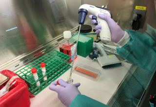 В Португалии выявили четыре случая с подозрением на гепатит неизвестного происхождения