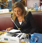 Кёнуль Нуруллаева обратила внимание Международного парламента по толерантности и миру на минный террор Армении (ФОТО/ВИДЕО)