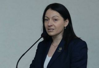 Sport in Azerbaijan - integral part of state policy, deputy minister says