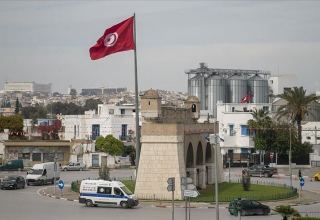Представители США призвали президента Туниса назначить нового премьер-министра