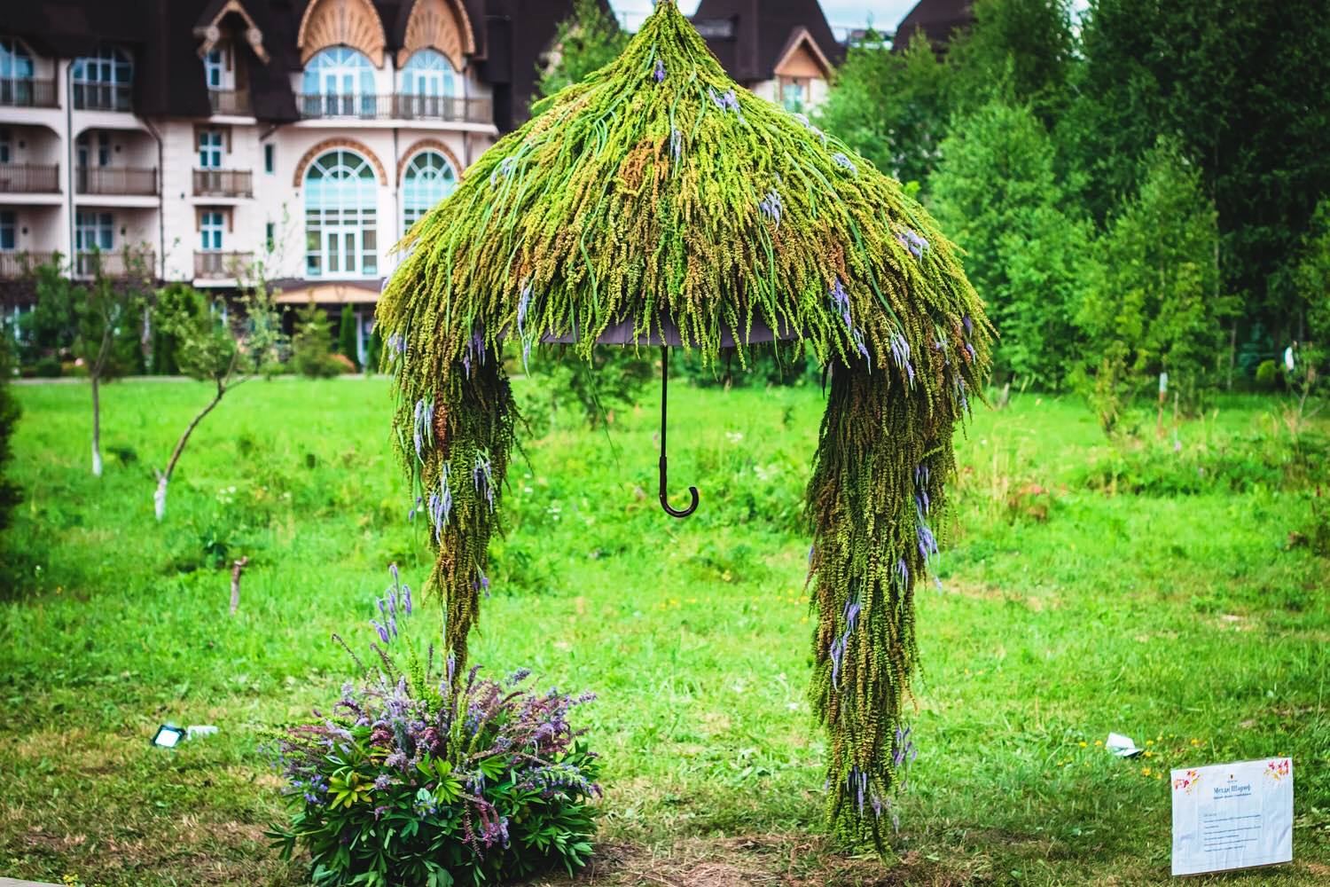 Цветочный шатер-зонтик азербайджанского флориста признан одним из лучших в России (ФОТО)