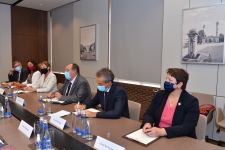 Azerbaijani FM meets with members of French National Assembly (PHOTO)