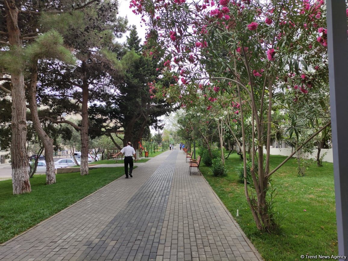 В Баку открылся парк имени генерала Полада Гашимова (ФОТО)
