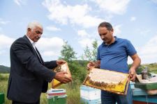 Azerbaijan transfers beekeeping farms to Lachin pastures after Kalbajar (PHOTO)
