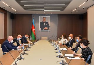 В МИД Азербайджана прошла встреча с членом комитета ПАСЕ Полом Гаваном