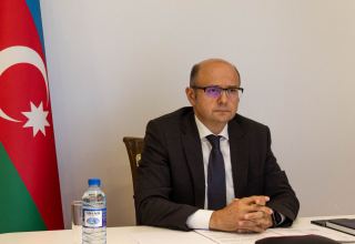 Определены меры для создания "зеленого энергетического пространства" в Азербайджане (ФОТО)