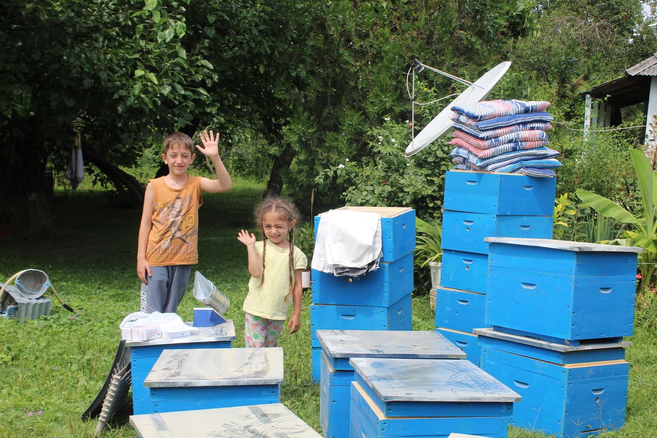 В Азербайджане для малообеспеченной молодежи созданы пчеловодческие хозяйства (ФОТО)