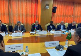 Azerbaijan, Turkmenistan agree to further co-op on Dostlug field