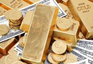 Kazakhstan names reasons for decline in gold and currency reserves